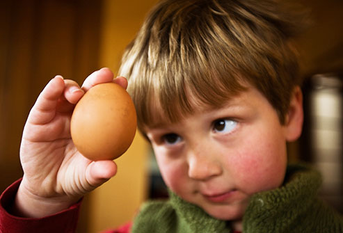 getty_rf_photo_of_boy_examining_egg