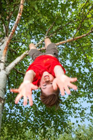 kid-hanging-tree-pretending-falling-low-angle-view-cute-teen-boy-wearing-red-tshirt-upside-down-looking-camera-74651576